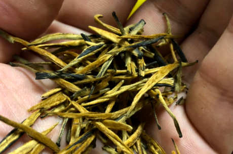 红茶有哪些种类？