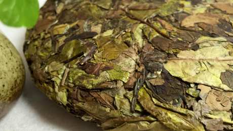 散白茶和白茶饼的区别