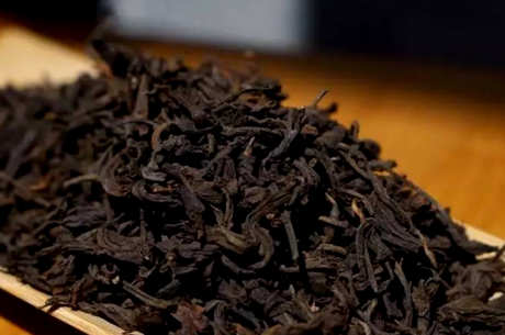 普洱茶属于什么茶种？