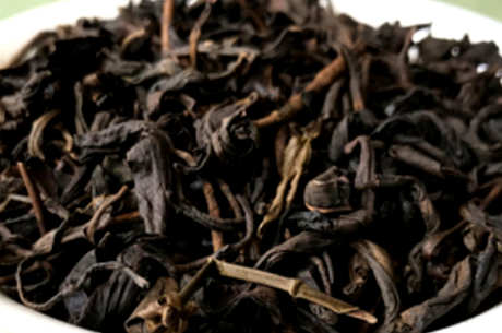 什么是大叶茶？