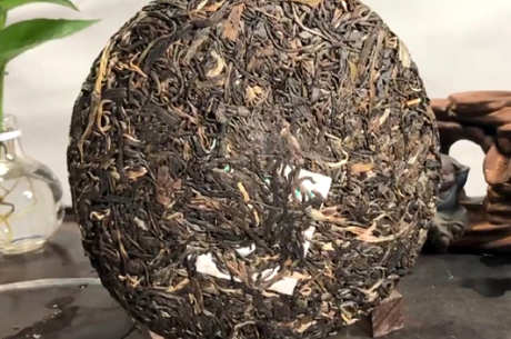 什么是大叶茶？