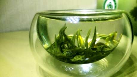 绿茶包括什么？