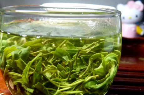 绿茶包括什么？