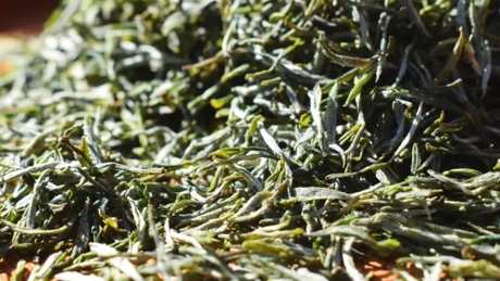 庐山云雾茶保质期多长？