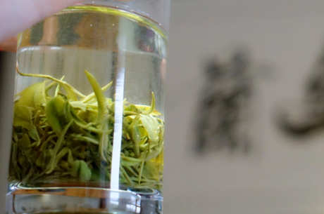 庐山云雾茶保质期多长？