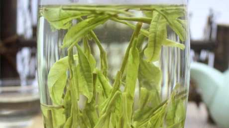 龙井茶和白茶哪个好？