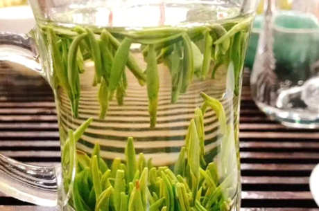 龙井茶和白茶哪个好？