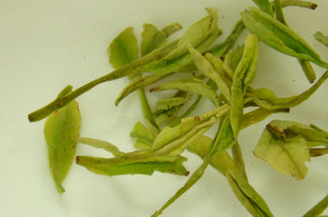 龙井茶和白茶哪个好？