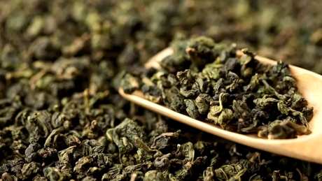 软枝乌龙茶属于什么茶？