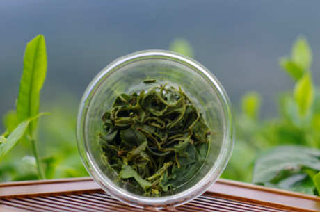 软枝乌龙茶属于什么茶？