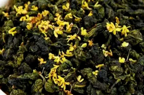 桂花乌龙茶属于什么茶？