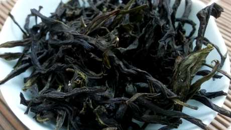 凤凰单丛茶属于什么茶？