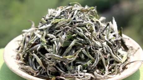 白牡丹是白茶吗？