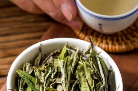 福鼎白茶和安吉白茶的区别