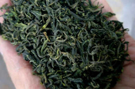 绿茶有哪些品种？