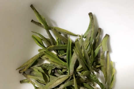 绿茶有哪些品种？