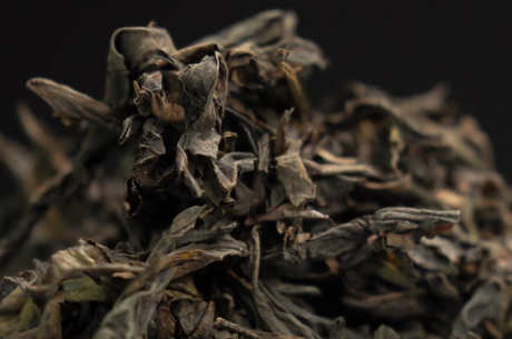 什么茶属于大红袍？