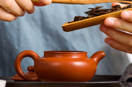怎样喝普洱茶？
