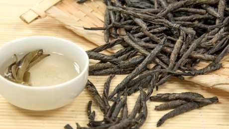 什么是苦丁茶？