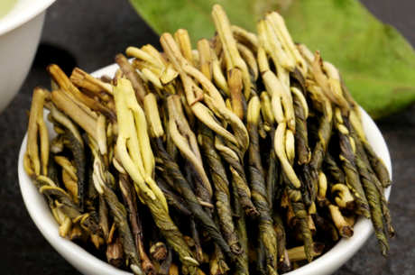 什么是苦丁茶？