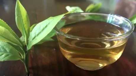 湖南坡茶是什么茶？