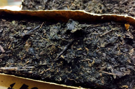 红茶是什么茶？