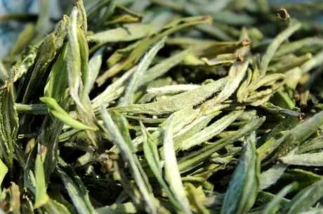 绿茶过了保质期还能喝吗？