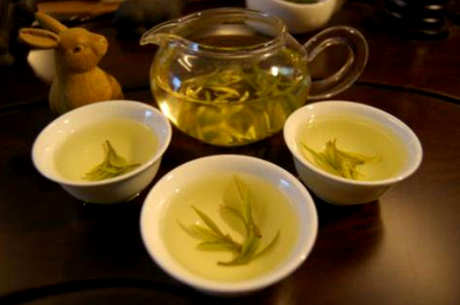 用什么壶泡白茶？