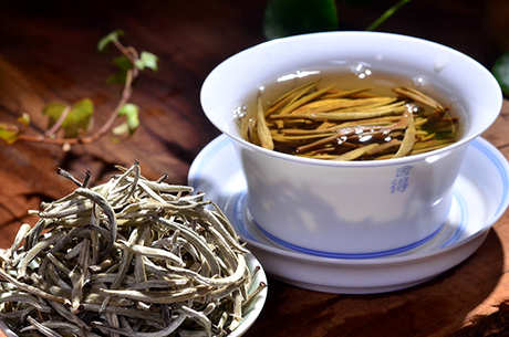 福鼎白茶属于什么茶？