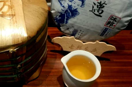 景迈古树茶的产地