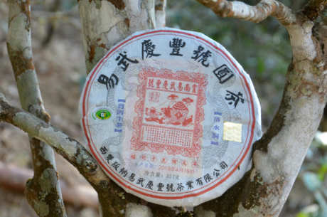 易武茶的产地在哪里？
