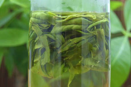 为什么绿茶叫绿茶？