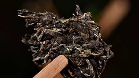 冰岛是什么茶？
