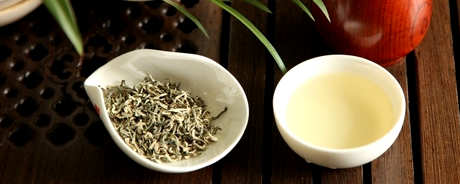 什么季节适合喝白茶？