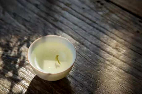 哪里是最好的白茶产地？