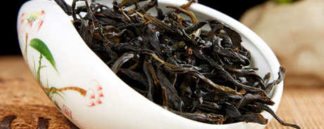 凤凰单杉茶属于什么茶？