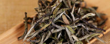 福鼎白茶的保质期是多久？