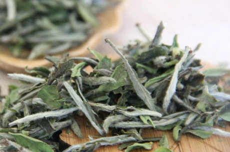 福鼎白茶的保质期是多久？