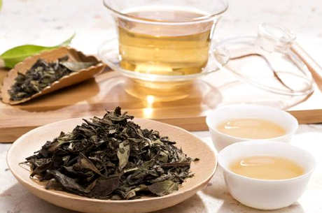 如何正确饮用福鼎白茶？