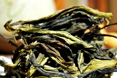 鸭屎香是什么茶功效？