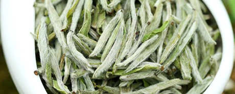 福鼎白茶属于绿茶还是红茶