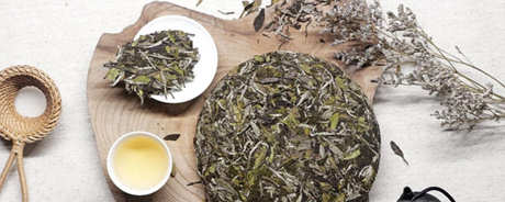 福鼎白茶是发酵茶吗？