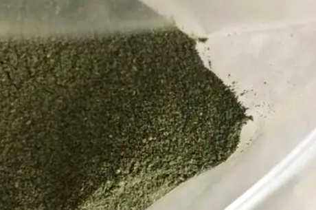 普通茶能做抹茶粉吗？