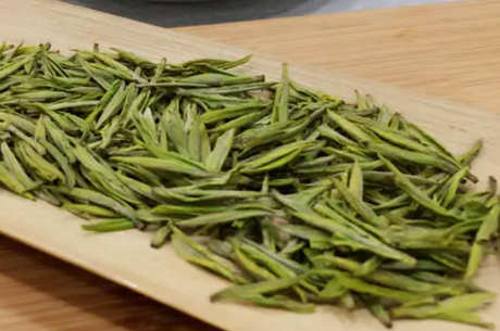 安吉白茶属于什么茶？