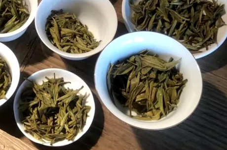 白茶产地在哪里？