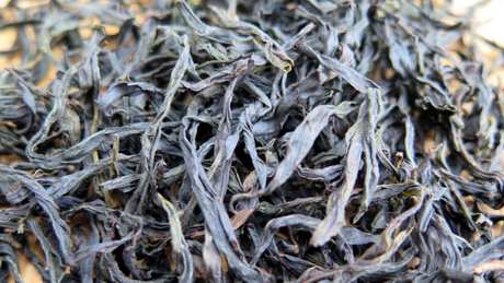 乌洞茶是什么茶？