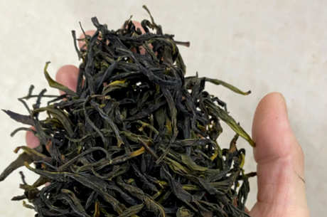 乌洞茶是什么茶？