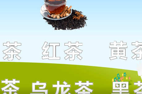 什么茶属于普洱茶？
