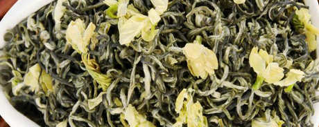茉莉花茶是红茶还是绿茶