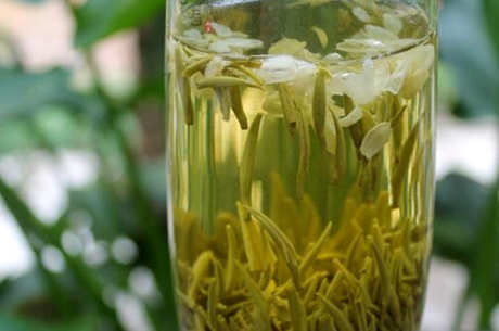 茉莉花茶是红茶还是绿茶